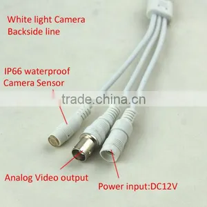 Colin Supply China Patent New White Light Technology Support Color Night Vision Indoor Security Camera Indoor Dome Cctv thumbnail-4