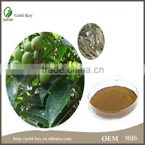 China Supply Olive Leaf Extract, Olive Leaf Powder thumbnail-5