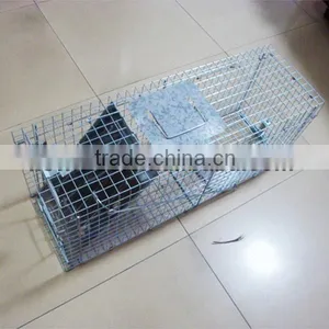 Collapsible Live Animal Hunting Trap thumbnail-1