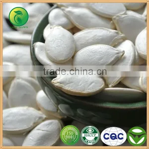 New Crop High Quality Snow White Pumpkin Seeds, Certified! thumbnail-1