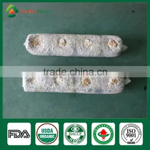 Freeze Shiitake Mushrooms,Shiitake Mushroom ,Shiitake Mushroom Cultivation thumbnail-2