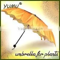 3 Fold Umbrella for Plants With Fully Printing All Over thumbnail-1