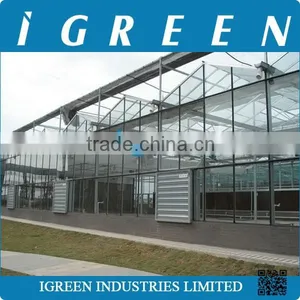 Commercial Glass Greenhouse for Flower thumbnail-3