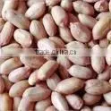 Peanuts Bold & Java Indian Origin New Crop 2014 thumbnail-1