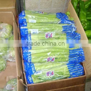 2012 Chinese New Crop Fresh Celery thumbnail-1