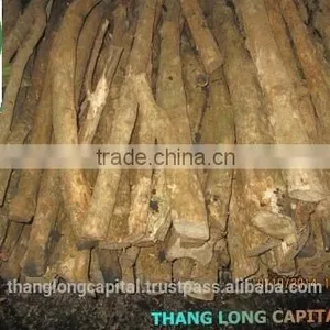 High Quality Softwood Charcoal for BBQ and Hookah thumbnail-3