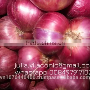 Red Fresh Onion Best Prices/high Quality (Phone: +84979171029//Email: Julia.vilaconic@gmail.com) thumbnail-1