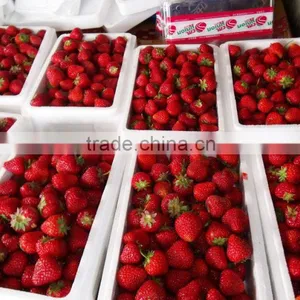 New Fresh Dandong Big Size Strawberry thumbnail-4