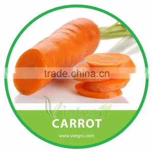 HIGH QUALITY FRESH ORGANIC CARROT thumbnail-1