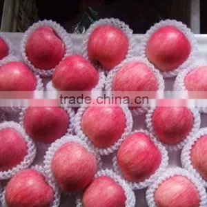 Chinese Fuji Apple thumbnail-1