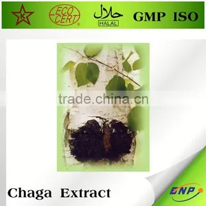 Wild Chaga Mushroom In Mushroom Extract thumbnail-1