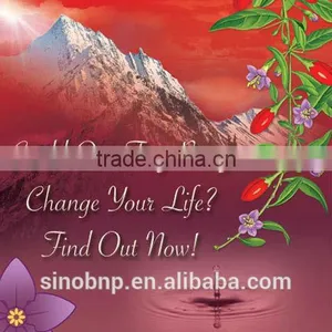 QS/HACCP/ISO-BNP Xinjiang Goji 100% Natural High Quality Goji Berry Extract thumbnail-1