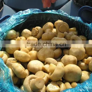 Chinese Mushrooms in Brine thumbnail-1