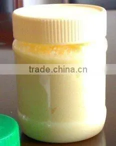Fresh Garlic Puree thumbnail-1