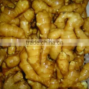 Organic Fresh Ginger thumbnail-1