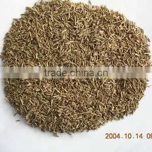 Cumin Seeds thumbnail-1