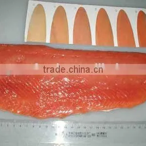 Frozen Chum Salmon Fillet Gutted Fish Seafood Kingsunfoods thumbnail-4