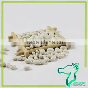 All Size Supply Japanese White Kidney Beans For Sale Wholesale Price thumbnail-2