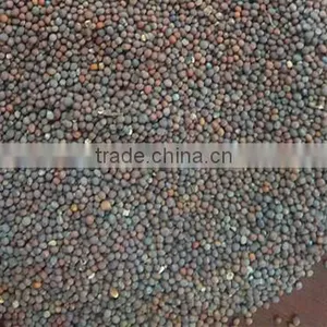 Rapeseed thumbnail-2