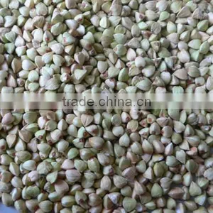 Automatic Oat Cleaning Machine/Buckwheat Stoning Machine Sales Price thumbnail-6