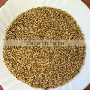 High Quality White Mustard Seeds thumbnail-1