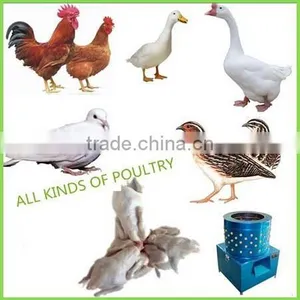 Best Sale Chicken Feather Moving Machine thumbnail-6