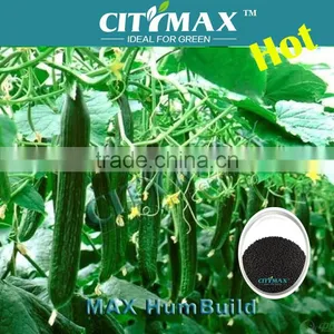 Humic Acid As Farm Fertilizer thumbnail-1