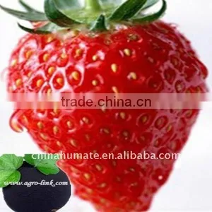 Organic Potassium thumbnail-5
