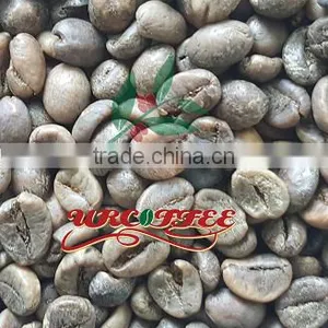Green Coffee Bean thumbnail-1