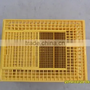 Solid Plastic Pigeon Transport Cage thumbnail-2