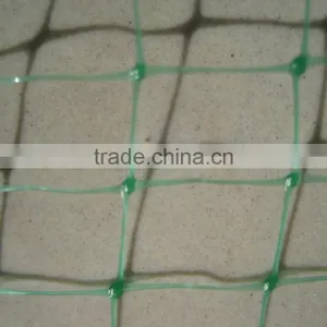 Pp/pe Anti-bird Net for Catching Small Bird thumbnail-6