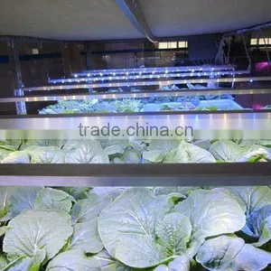 MarsHydro DC12V IP68 Full Spectrum Hydroponic Greenhouse LED Grow Light24/46/92w thumbnail-4