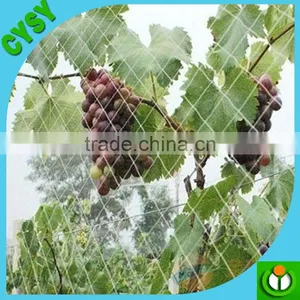 New Coming pe Type Bird Capture Netsanimal Catching Nets thumbnail-1