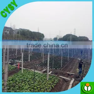Wholesale HDPE Plastic Bird Net / Bird Trapping Net /plastic Tree Protection Mesh thumbnail-6