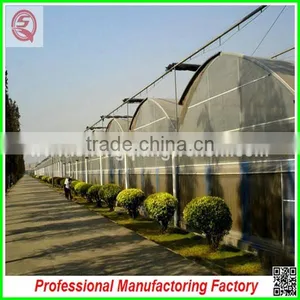 Hot Sale 6.4m Agricultural Multi-span Plastic Film Greenhouse for Planting thumbnail-6