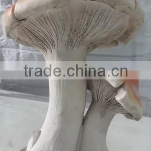 Garden Ornament Fiberglass Clay Mushroom Moulds thumbnail-5