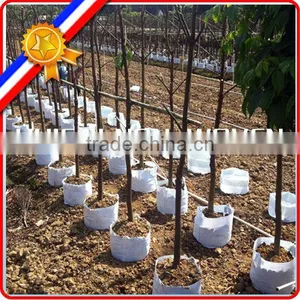 Non Woven Fabric Tomato Grow Bags, Tree Planting Bags thumbnail-1