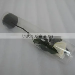 Hot Sale Austin Preserved Rose Flower For Gift Home Decoration From China thumbnail-4