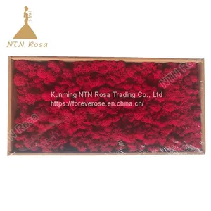 China Most Popuplar Everlasting Moss: The Key to Plant Walls thumbnail-3