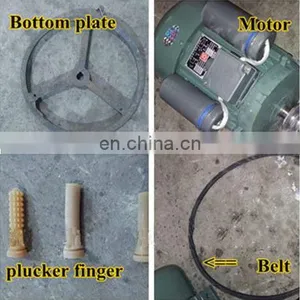 Chicken Plucking Machine Price/chicken Slaughterhouse/ Poultry Feather Removal Machine thumbnail-5