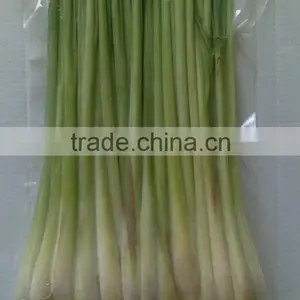 Fresh Lemongrass Vegetable in Vietnam/ Frozen Lemongrass thumbnail-1