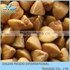Chinese New Crop Toasted Buckwheat Kernel thumbnail-1