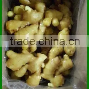 Prices Of Ginger Dried And Ginger Fresh thumbnail-6
