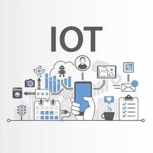 Efficiency Redefined Custom Software Development for International Markets thumbnail-2