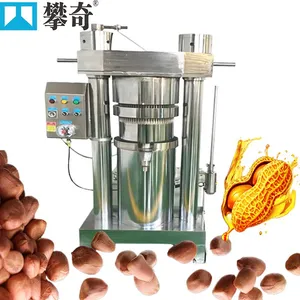 Automatic Hydraulic Oil Press Machine for Peanut/Sunflower Seed Processing Plant thumbnail-5