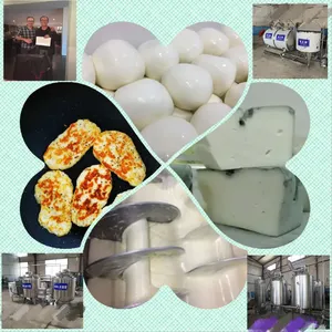Cheese Processing Production Line Complete Equipment Mozzarella Cheese Production Line thumbnail-3