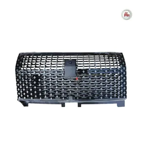 BYD Looks up at the Front Grille thumbnail-3