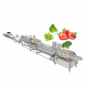 Automatic Commercial Fruit and Vegetable Bubble Washer Large-Scale Multifunctional Cleaning Equipment and Processing Line Dryer Cutting Machine thumbnail-2