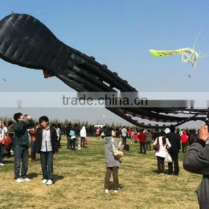 60m Octopus Kite thumbnail-5
