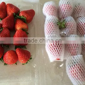 EPE Colorful Fruit and Vegetable Packaging Foam Nets thumbnail-5